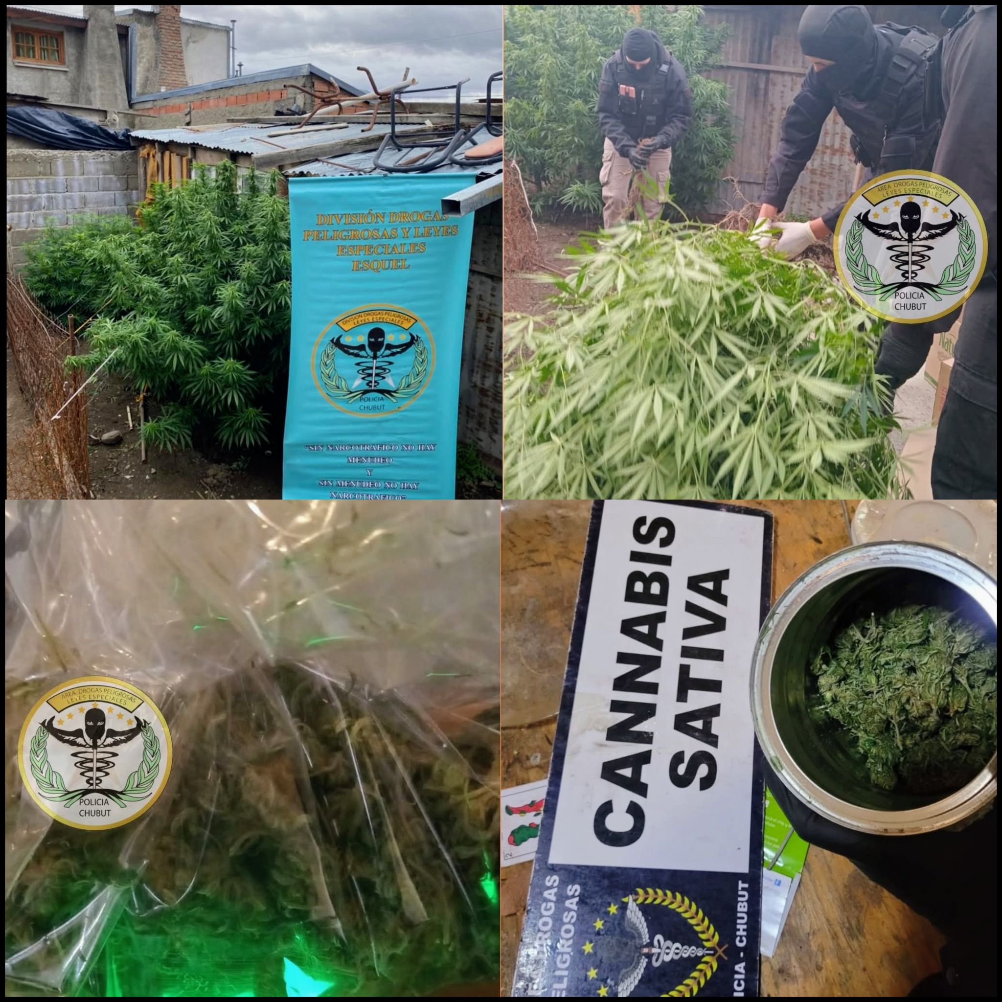 Desarticulan punto de venta de drogas en Esquel