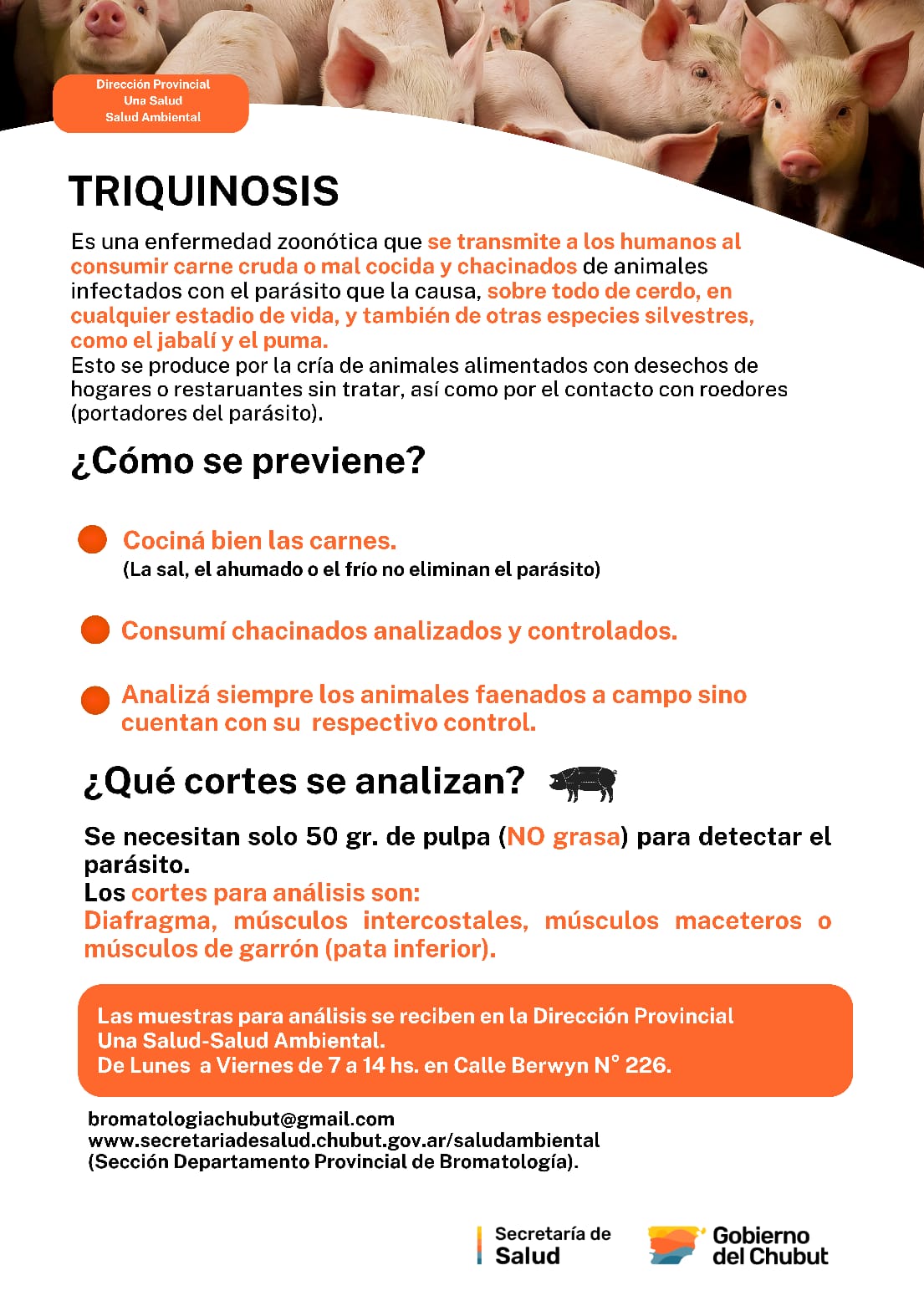 Alerta sanitaria en El Hoyo: confirman un caso positivo de triquinosis